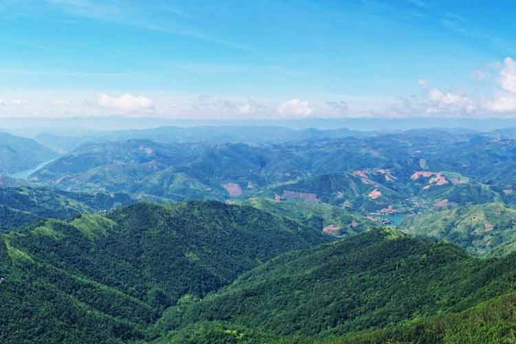 普晴林場森林旅游區