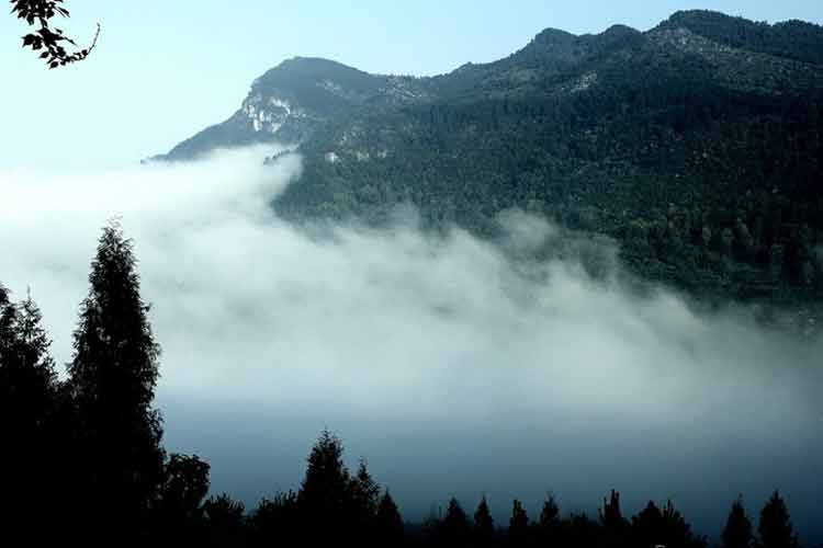 石阡五峰山森林公園景區