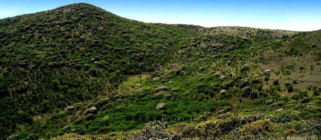 牛棚梁子風景區