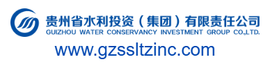 貴州省水利投資有限責任公司的網址域名